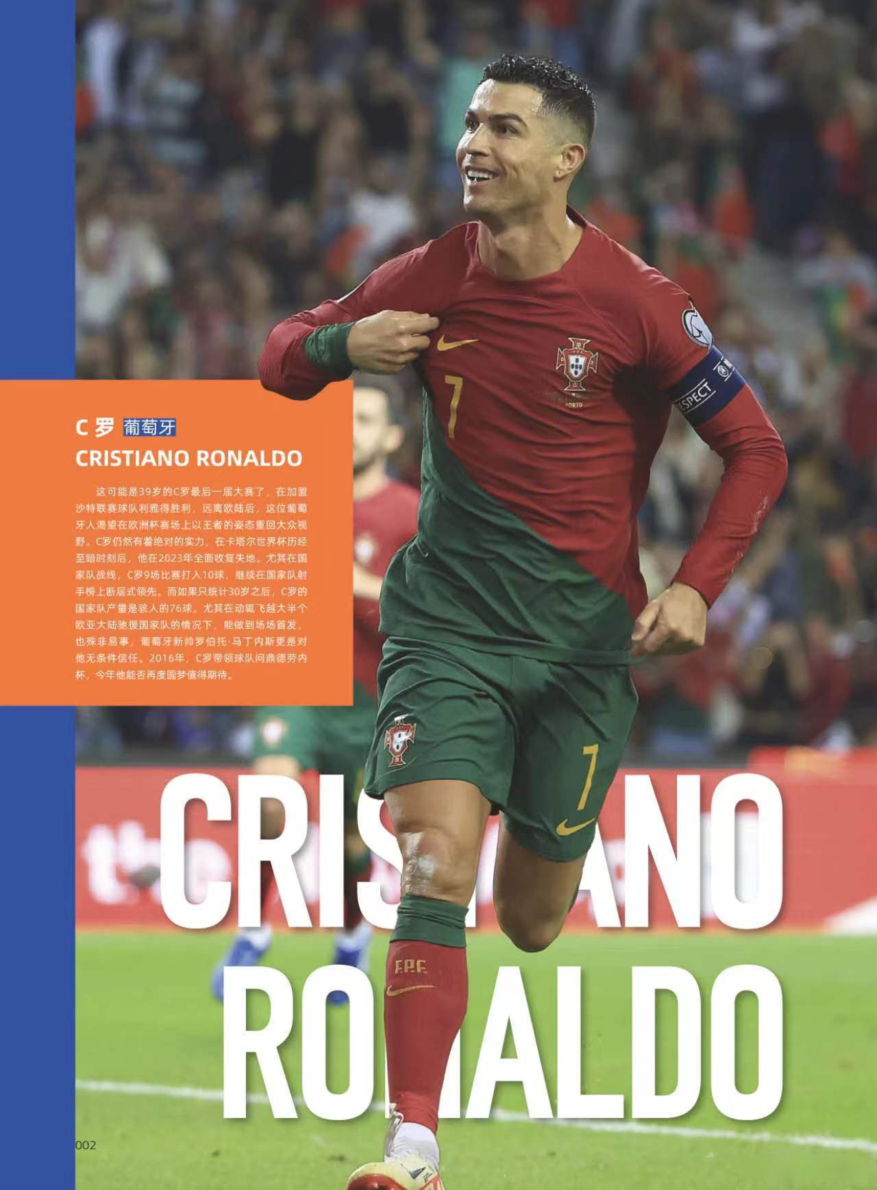 开云体育直播-芬兰足球梦想：欧锦赛前路一片光明