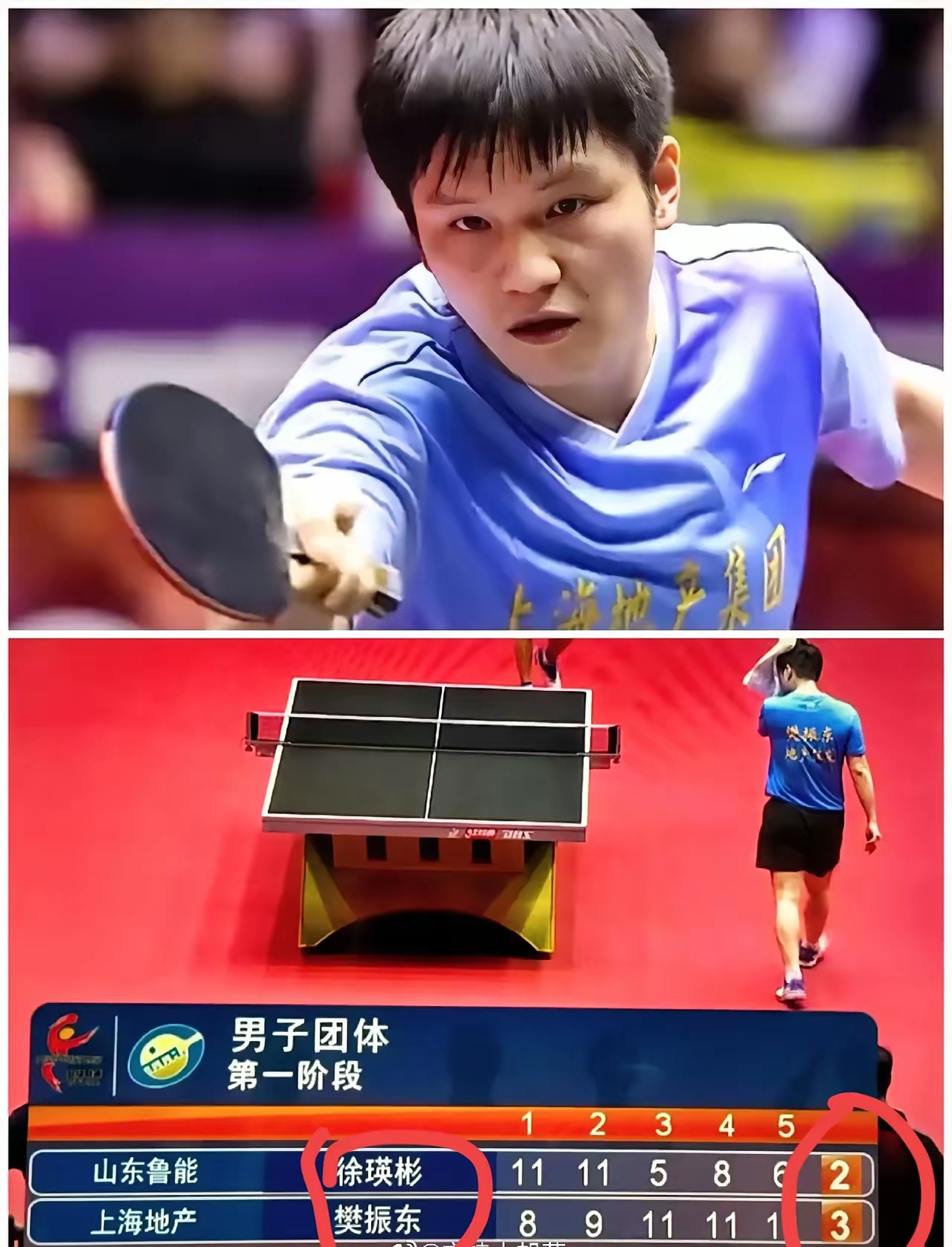 瑞典队翻盘奥地利队，樊振东状态火热的简单介绍